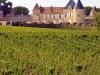 CHATEAU D'YQUEM，滴金庄