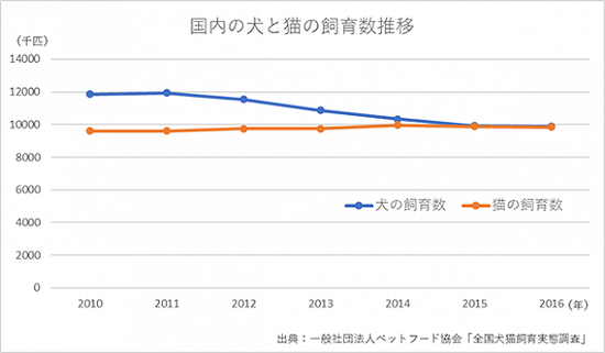 日本宠物猫数量已经超过了宠物狗