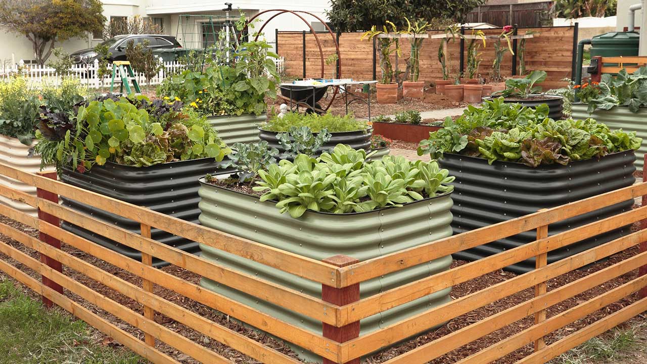 找到你的利基市场和品牌