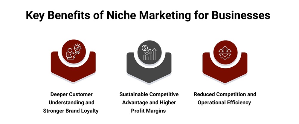 key-benefits-of-niche-marketing-for-businesses.jpg